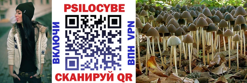 KRAKEN как зайти Дубна Галлюциногенные грибы Psilocybine cubensis