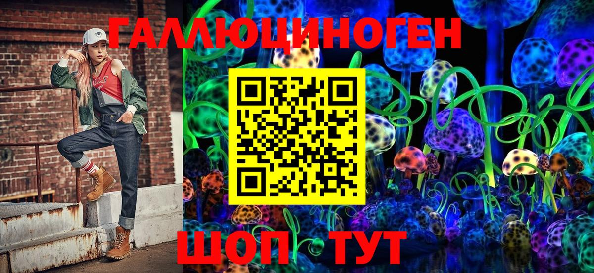 Дубна  Галлюциногенные грибы Psilocybine cubensis  Вход с VPN 