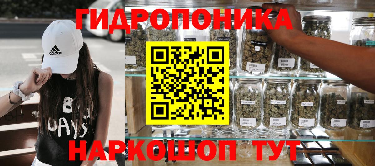Бошки Шишки семена Дубна